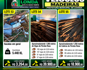 lotes-52-a-55.png